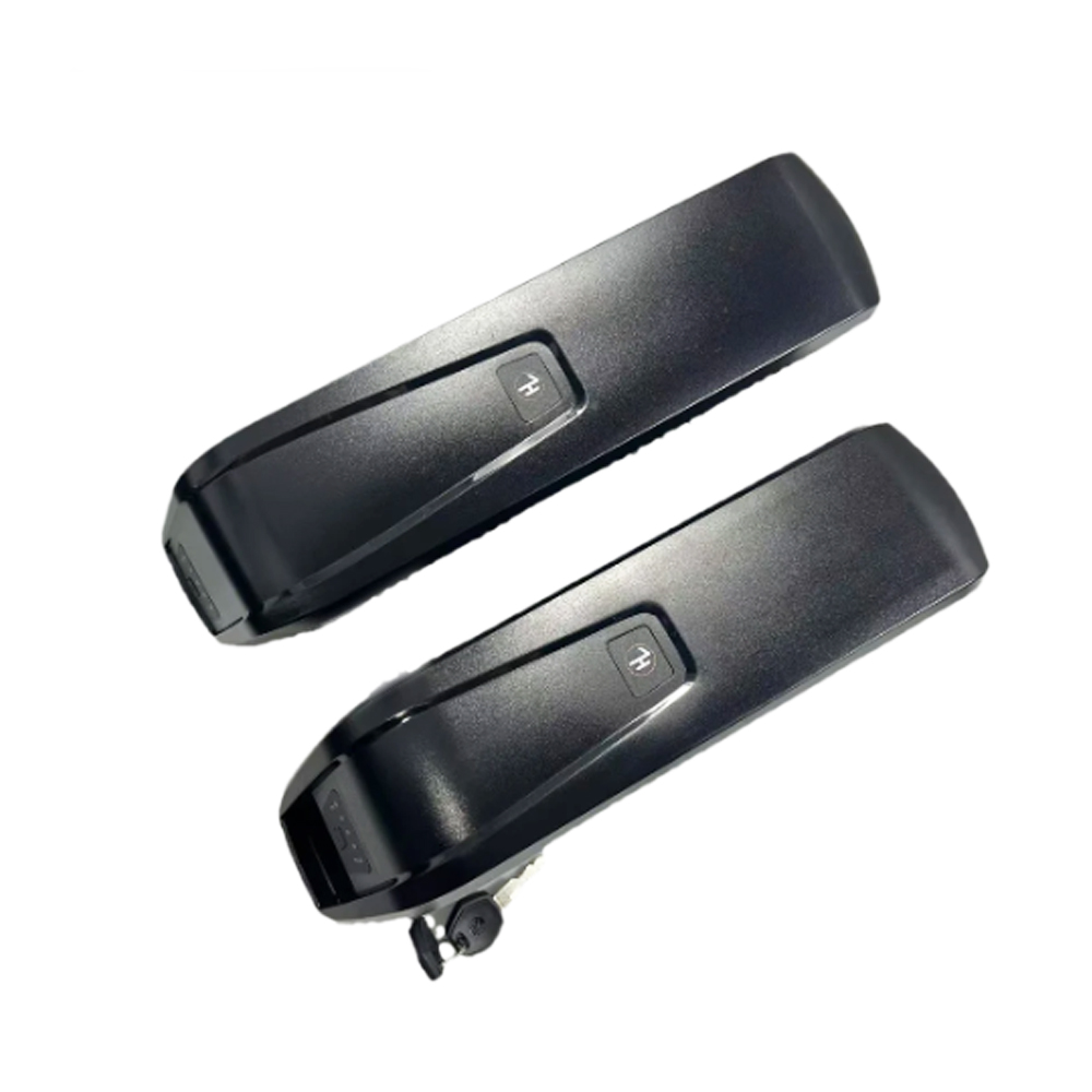 Fatbike VOMO X80 Ebike battery - Ebike Battery 48V 20Ah Hailong 评论和价格